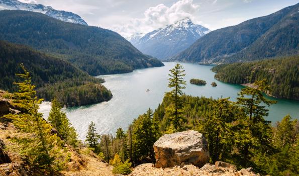 A picture of pine trees overlooking a body of water and mountains