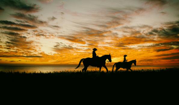 A silhouette of two people each riding horses with a sunset behind them