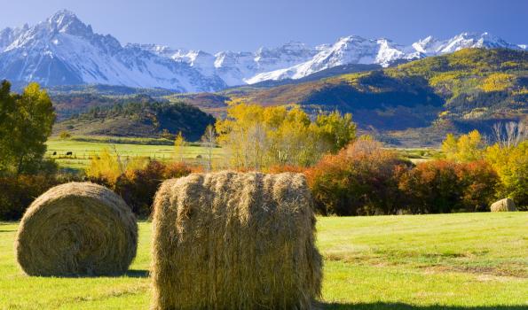A picture of two hay bales sitting in a field, behind which are trees, hills and mountains