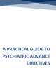 Screenshot of SAMHSA Practical Guide Resource